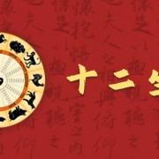 2024年3月兔一等命 2024年3月兔人运气