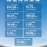 一图看懂：长城汽车2024上半年利润暴涨4倍 每辆车多净赚1万元