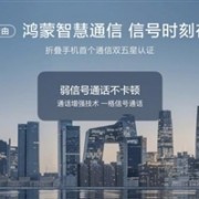 华为nova Flip卖爆了！为什么年轻人的潮流小折叠如此受追捧