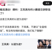 曝小鹏总裁王凤英离职 本人朋友圈亲自辟谣