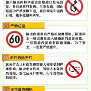 
        		有人被罚数百元扣18分：第一批在深中通道违停的人已老实！	