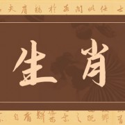 属鼠的今年多大了2024 属鼠的今年多大岁数2024