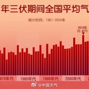 今年三伏为史上最热：平均气温23.24℃ 杭州高温37天全国第一