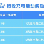 浙江电网提倡新能源车主23时后错峰充电 提供红包奖励