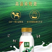 3.8g乳蛋白：金典鲜牛奶39.9元9瓶大促