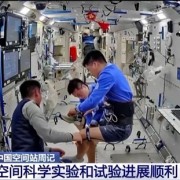 中国空间站"太空菜园"最新画面公开！一片欣欣向荣