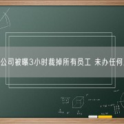 
        		老牌地产公司被曝3小时裁掉所有员工 未办任何工作交接！	