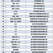 99款参与：2024年新能源汽车下乡活动在常州启动