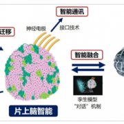 重磅研究！中国首创人脑驱动机器人