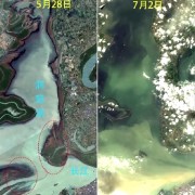 洞庭湖遭洪水涌入前后卫星影像对比图：大片草甸、陆地被完全淹没