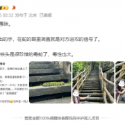 
        		女子路遇超级国宝“莽山烙铁头”近距离合照 博主怒斥：无知又愚昧！	