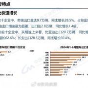 2024上半年汽车出口排行榜：奇瑞狂卖53.2万辆遥遥领先