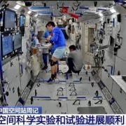 中国空间站"太空菜园"最新画面公开！一片欣欣向荣