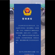 你支持禁止单踏板模式吗！官方通报特斯拉撞车致1死2伤 肇事司机被控制