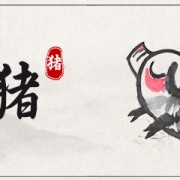 生肖猪1月份运势2025 属猪2025年1月运势如何