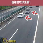 男子开思域路怒症发作 高速上别停后车 12分扣光