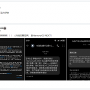 华为审核加速！鸿蒙OS NEXT第二批Beta测试推送：快看你收到没