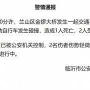 你支持禁止单踏板模式吗！官方通报特斯拉撞车致1死2伤 肇事司机被控制