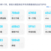 
        		人才奇缺！脉脉高聘：大模型算法岗平均月薪超6.75万、3岗争1人！	