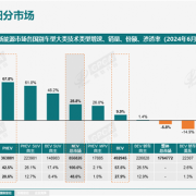 能加油才没焦虑 插混车卖疯了：每卖出5辆车就有1辆