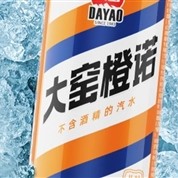 龙年限定罐+凤梨新口味！大窑汽水500ml官旗发车：券后2.6元/罐