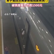 男子为等家人4次用身体阻挡高铁关门：当事人已被处罚