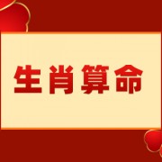 属羊的今年多大了2024 属羊的今年多大岁数2024