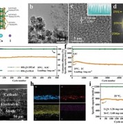 中科院全固态电池新突破：能量密度超600Wh/kg、解决高成本难题